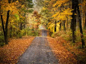 Hillman State Park