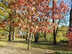 Evergreen Hollow Park