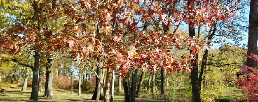 Evergreen Hollow Park