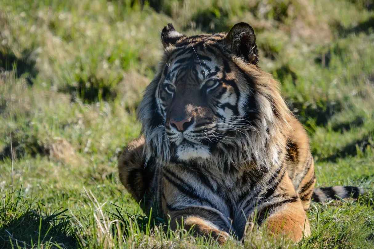 3_Orana Wildlife Park