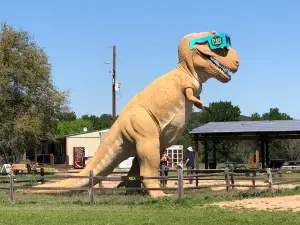 Dinosaur Valley State Park