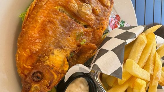 Dolphin Discovery Punta Cana