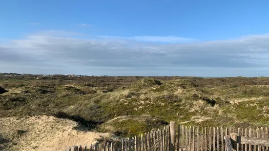 Nature Reserve of Westhoek