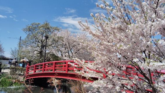 Garyu Park