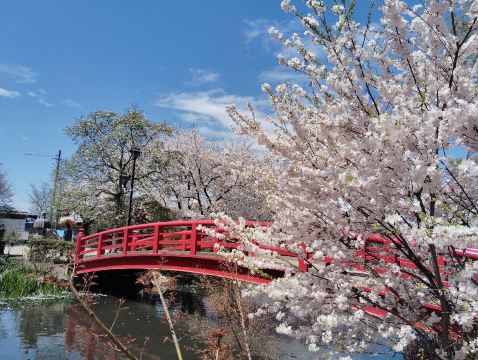 Garyu Park