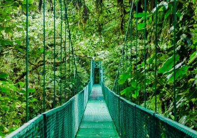 Monteverde