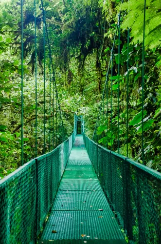 Monteverde