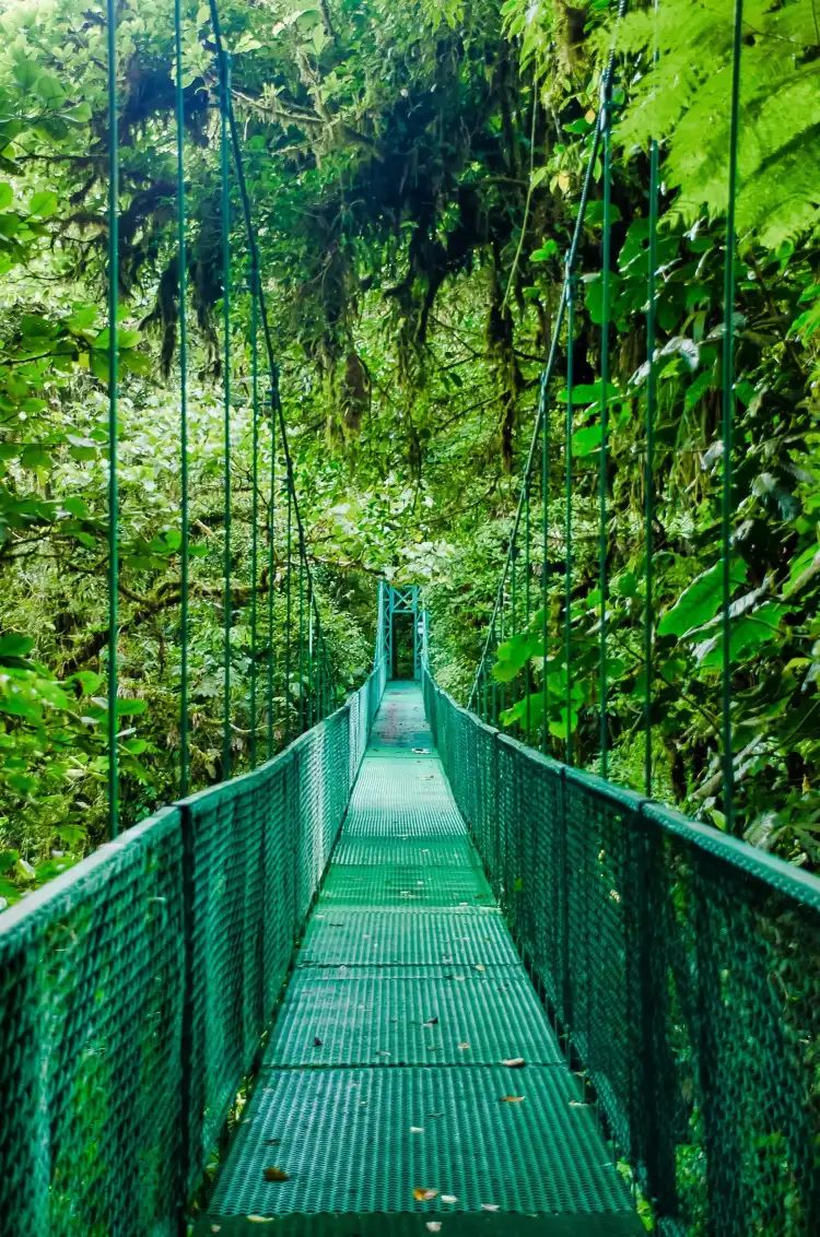 Monteverde