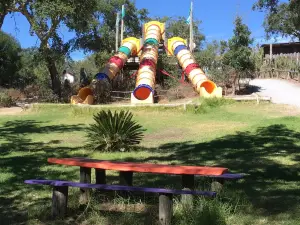 Monte Selvagem