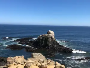 Punta de Lobos