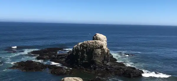 Hotels in Cardenal Caro