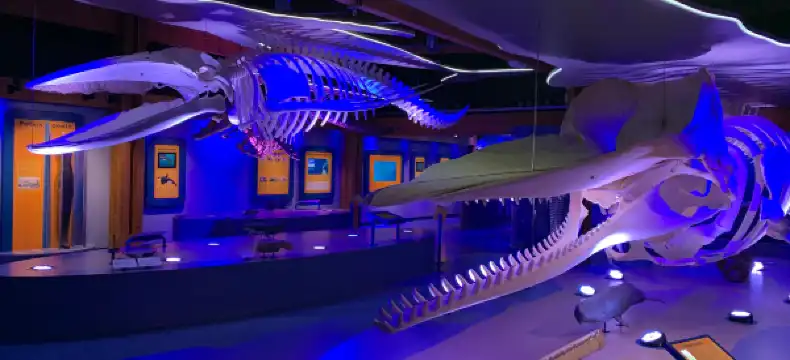 デ・コーフのホテル