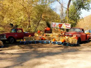 Darnell Farms