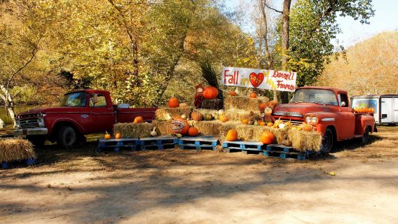 Darnell Farms