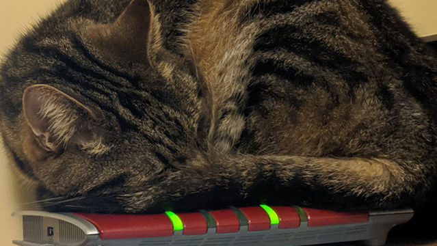 Zero Latency VR Brisbane