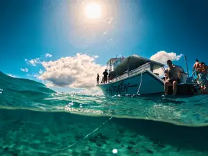 Cayo ICACOS
