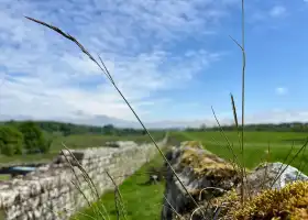 Birdoswald Roman Fort - Hadrian's Wall