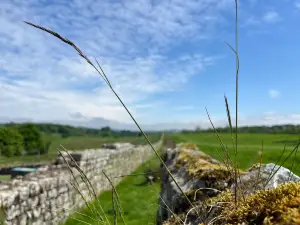 Birdoswald Roman Fort - Hadrian's Wall