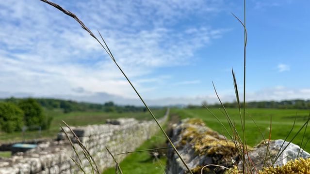 Birdoswald Roman Fort - Hadrian's Wall