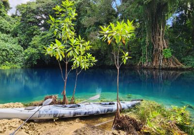Matevulu Blue Hole