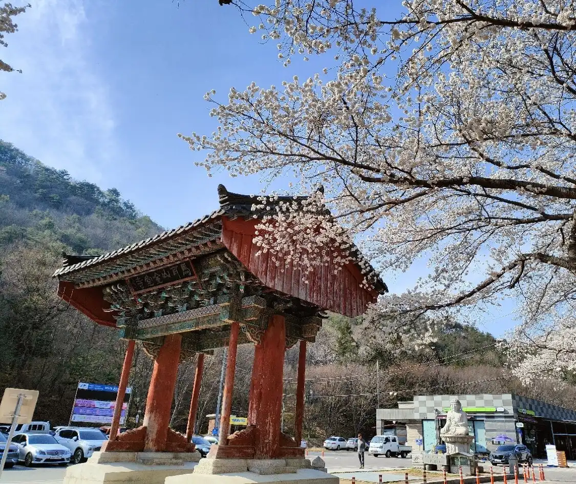 Hotels near Maisan