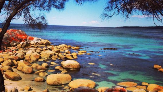 Bay of Fires Conservation Area