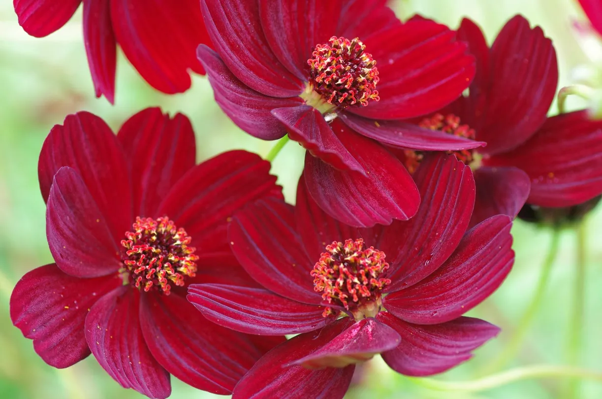 5_Southern Park Nobozaki