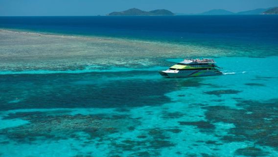 Cairns Big Cat Green Island Great Barrier Reef Cruise Halbtagestour - Optionales Schnorcheln am Morgen/Nachmittag im Glasbodenboot