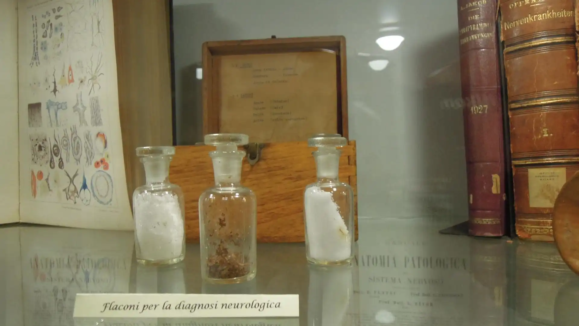 Hotels near Piccolo Museo Istituto Neurologico Carlo Besta
