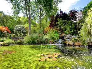Pinetum Gardens