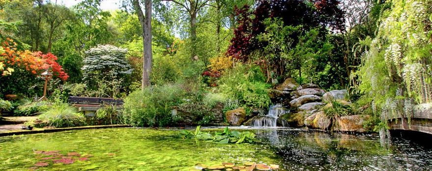 Pinetum Gardens