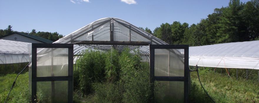 Snell Family Farm