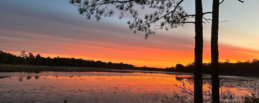 Mike Roess Gold Head Branch State Park