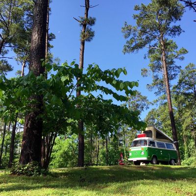 Wolf Creek Park