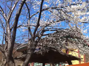 Gyeryongsan Gapsa