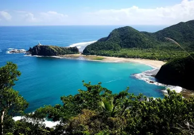 Baler