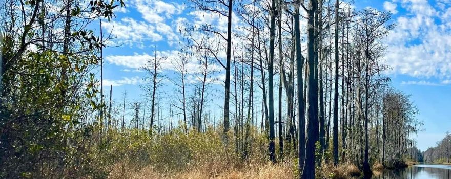 Okefenokee Adventures