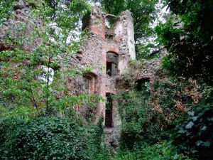 Burgruine Veste Landskron