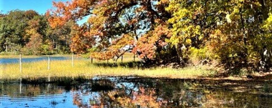 Lloyd Harbor