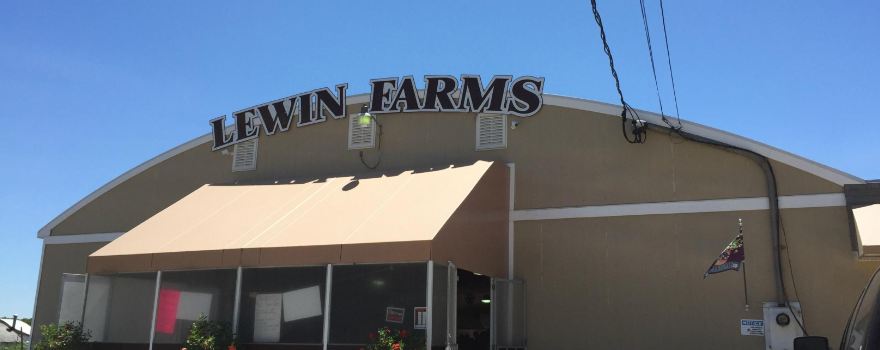 Lewin Farms