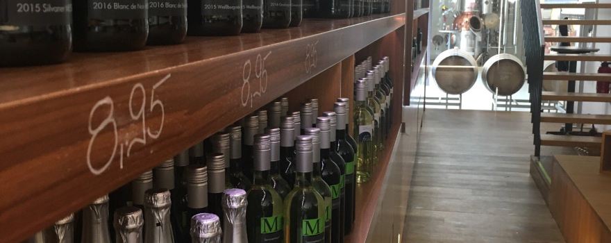 Weingut Martin Mößlein