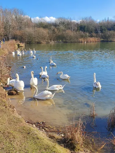 Ilkeston