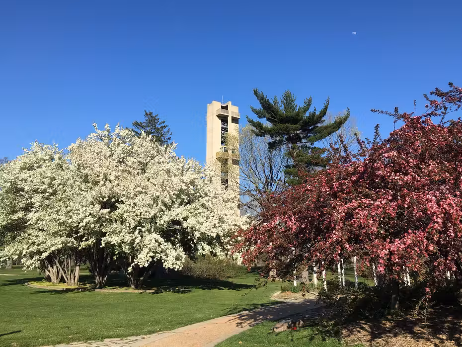 ${{cityDName}}⇒スプリングフィールド 飛行機