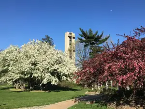 Washington Park