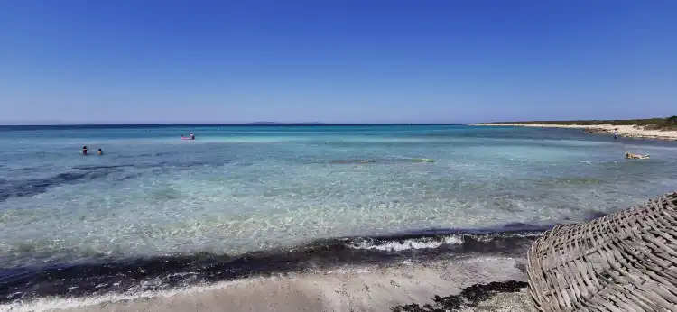 Hotels near Didim Manastır Koyu