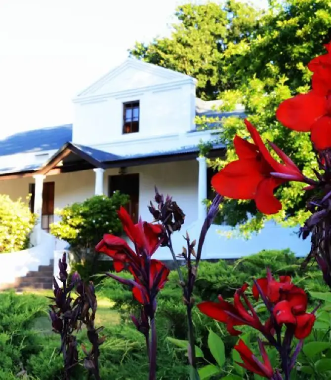 Stellenbosch Farms