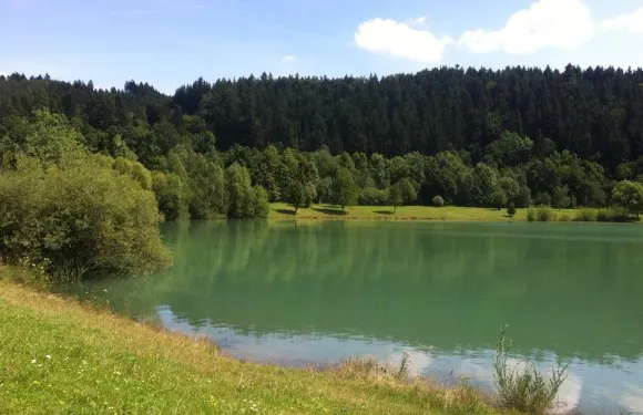 諾維赫羅澤科夫