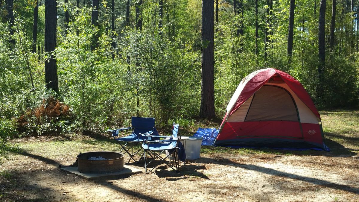 Bogue Chitto State Park