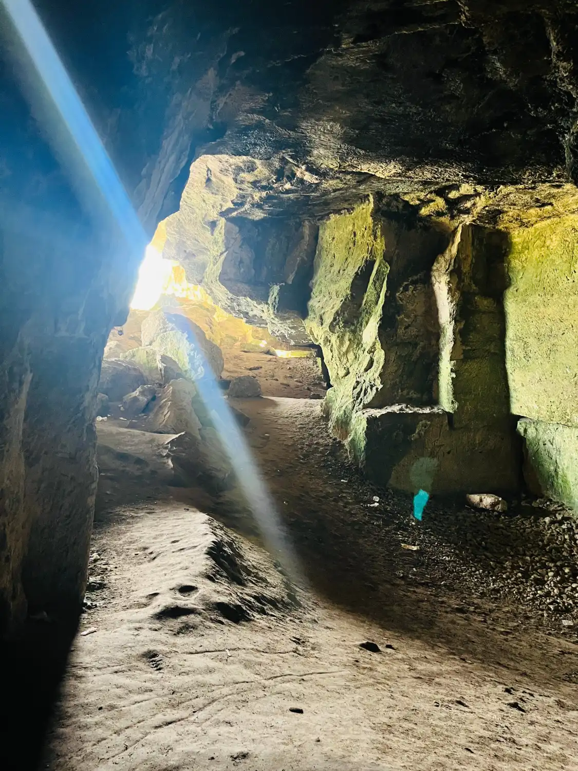 Hotels near Playa Portals Vells