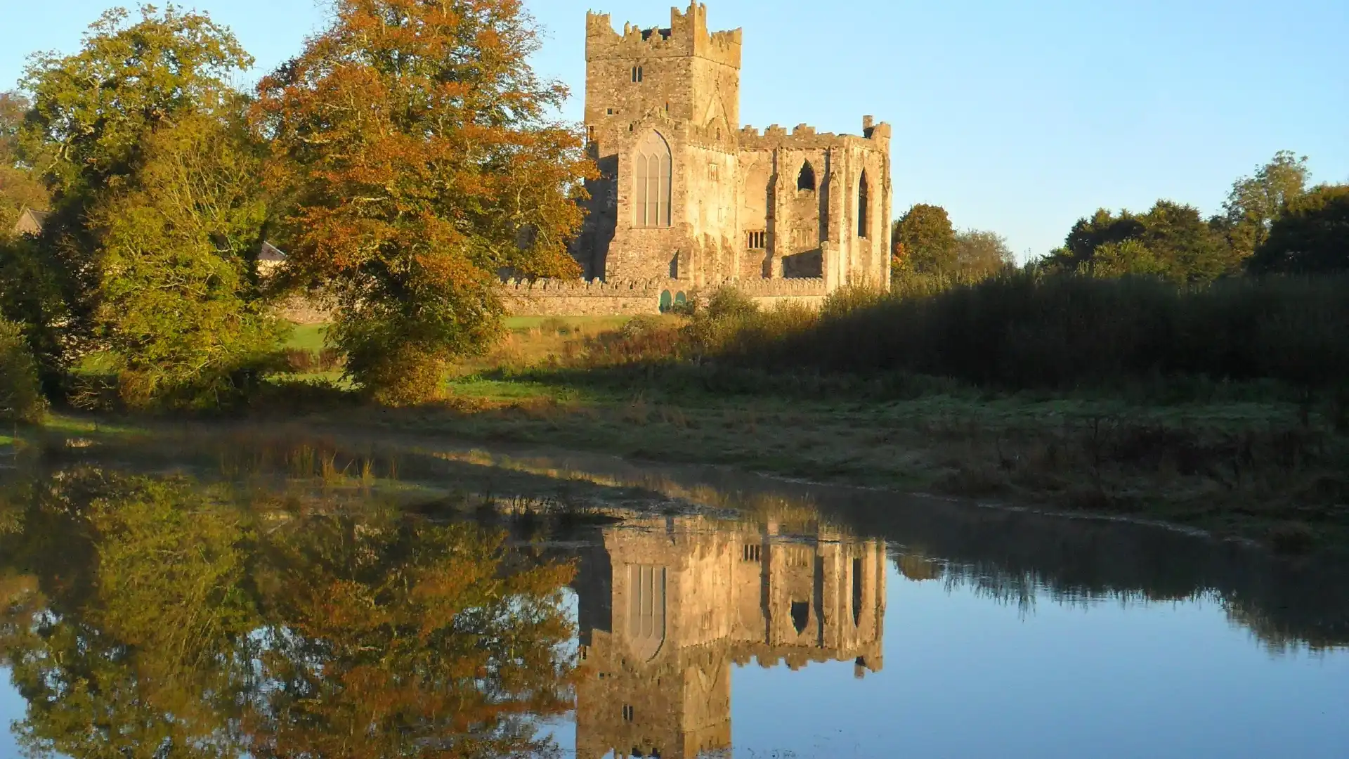 Hotels near Colclough Walled Garden